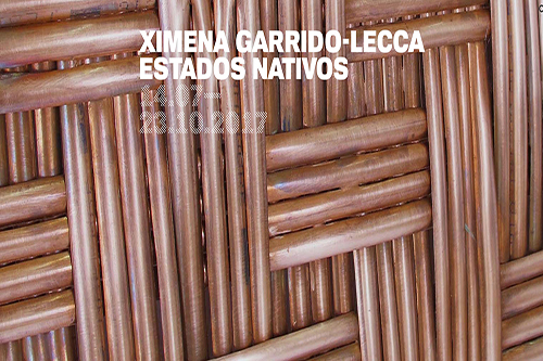 2017-estados-nativos-ximena-garrido-thumbnail